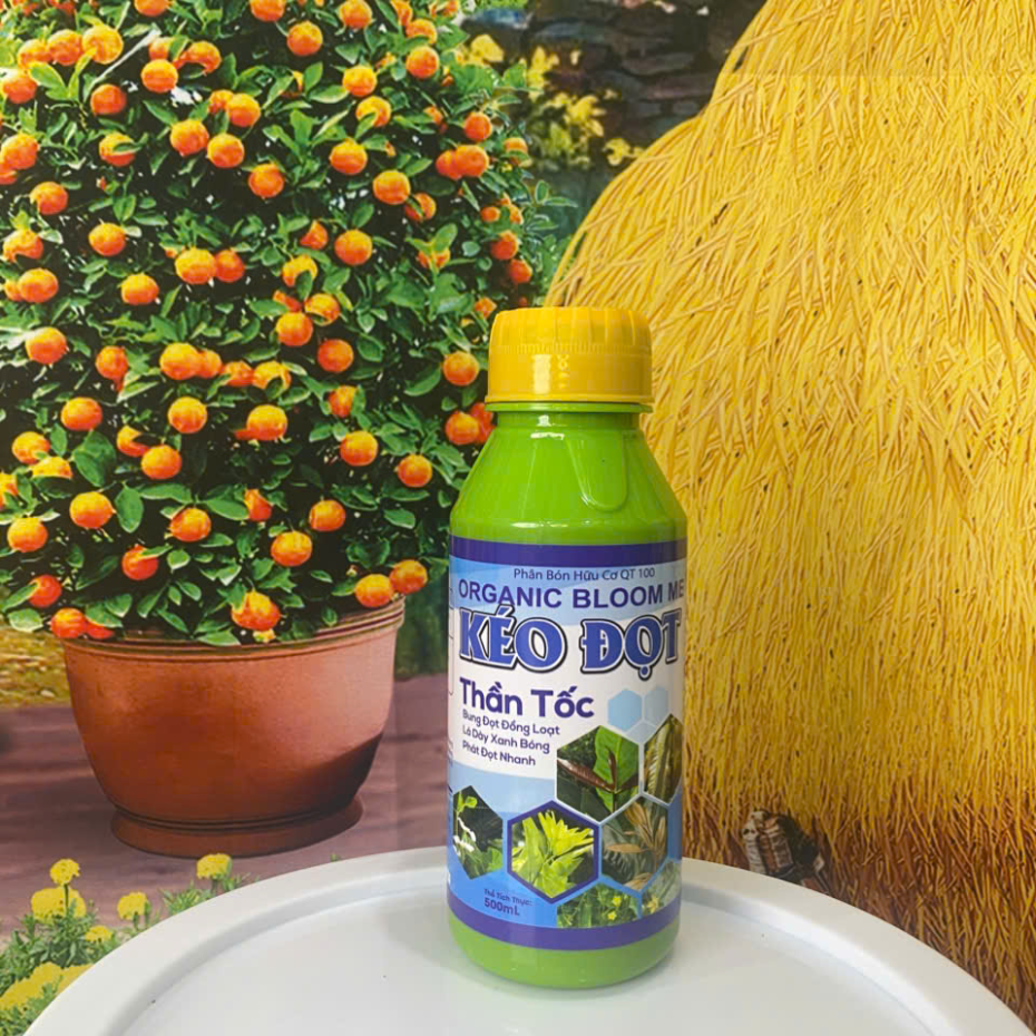KÉO ĐỌT THẦN TỐC