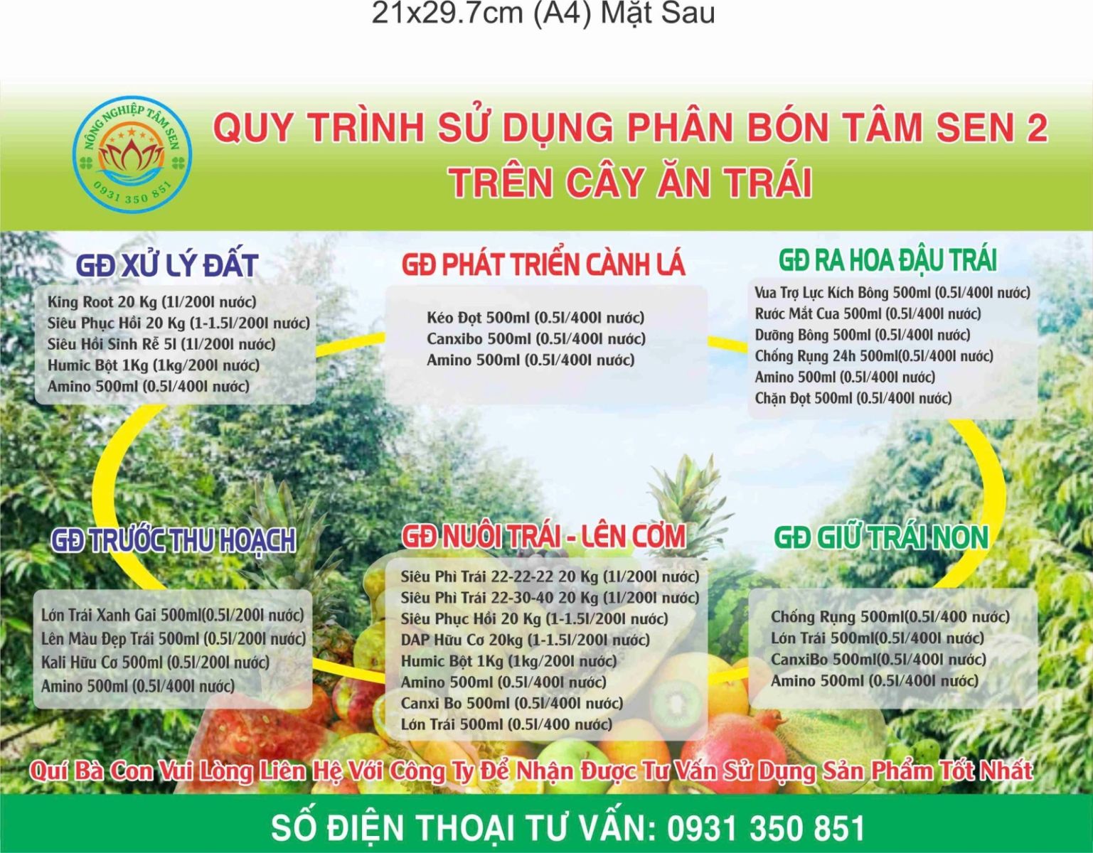 Bí Quyết Nuôi Trái Sầu Riêng Lớn Nhanh - Chống Rụng Trái